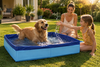 Piscine Pliable Antidérapante pour Chien et Chat : Le Bonheur Rafraîchissant de Votre Animal en 2026
