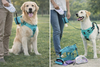 🐕 Kit Promenade Premium - Tout pour des sorties parfaites avec votre chien