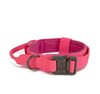 Collier Tactique Nylon pour Chien – Poignée Intégrée et Boucle Métal Robuste