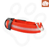 Reflective LED Dog Collar for Night Safety - Durable, Geometric Patterned, Battery-Powered, Ideal for Small/Medium Breeds 