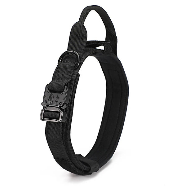 Collier Tactique Nylon pour Chien – Poignée Intégrée et Boucle Métal Robuste