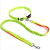 Laisse Rétractable Mains Libres pour Chien avec Ceinture Ajustable - Jogging et Vélo