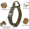 Collier Tactique Nylon pour Chien – Poignée Intégrée et Boucle Métal Robuste