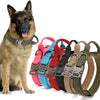 Collier Tactique Nylon pour Chien – Poignée Intégrée et Boucle Métal Robuste