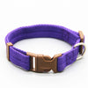 Collar ajustable para perros y gatos: elegante y cómodo