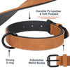 Collier en Cuir Véritable Rembourré pour Chien – Doux, Ajustable, Toutes Races