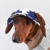 Chapeau de Soleil pour Chien – Casquette Respirante Ajustable avec Trous pour les Oreilles