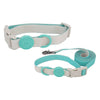 Ensemble Collier et Laisse pour Chien et Chat - Nylon Réfléchissant Ajustable