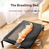 Lit Surélevé Respirant pour Chien – Intérieur et Extérieur