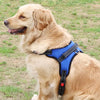 Ensemble Harnais et Laisse Anti-Traction pour Chien – Réfléchissant