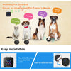 Sonnette Connectée pour Chien – Communication & Comportement