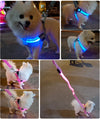 Harnais LED Lumineux pour Chien – Sécurité Nocturne Anti-Traction
