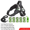Ensemble Harnais et Laisse Anti-Traction pour Chien – Réfléchissant