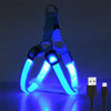 Harnais LED Lumineux pour Chien – Sécurité Nocturne Anti-Traction