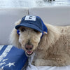 Casquette de Soleil pour Chien – Bob Ajustable avec Trous pour les Oreilles