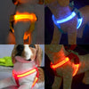 Harnais LED Lumineux pour Chien – Sécurité Nocturne Anti-Traction