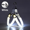 Harnais LED Lumineux pour Chien – Sécurité Nocturne Anti-Traction