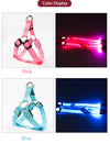 Harnais LED Lumineux pour Chien – Sécurité Nocturne Anti-Traction