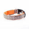 Collier LED Léopard pour Chien et Chat – Sécurité Nocturne Ajustable