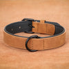 Collier en Cuir Véritable Rembourré pour Chien – Doux, Ajustable, Toutes Races
