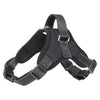 Ensemble Harnais et Laisse Anti-Traction pour Chien – Réfléchissant