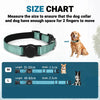 Collier Réfléchissant pour Chien avec Porte-AirTag – Nylon Ajustable
