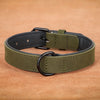 Collier en Cuir Véritable Rembourré pour Chien – Doux, Ajustable, Toutes Races