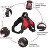Ensemble Harnais et Laisse Anti-Traction pour Chien – Réfléchissant