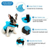 Gilet de Sauvetage Aileron de Requin pour Chien – Flottabilité Renforcée