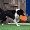 Frisbee en Silicone pour Chien - Disque Volant Souple et Résistant