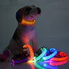 Collier LED Léopard pour Chien et Chat – Sécurité Nocturne Ajustable