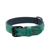 Collier en Cuir Véritable Rembourré pour Chien – Doux, Ajustable, Toutes Races