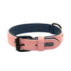 Collier en Cuir Véritable Rembourré pour Chien – Doux, Ajustable, Toutes Races