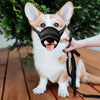 Muselière Respirante d’Été pour Chien – Anti-Aboiement Outdoor