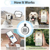 Médaille QR Code Connectée pour Chien et Chat – Alerte Localisation