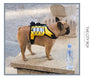 Sac de Randonnée Tactique pour Chien – Sacoche Dorsale Nylon 1000D Système MOLLE
