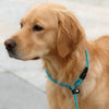 Laisse de Dressage Coulissante pour Chien – Nylon Tressé Anti-Traction