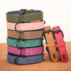 Collier en Cuir Véritable Rembourré pour Chien – Doux, Ajustable, Toutes Races