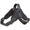 Ensemble Harnais et Laisse Anti-Traction pour Chien – Réfléchissant