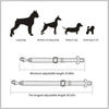 Ceinture de Sécurité Voiture pour Chien et Chat – Clip Universel Ajustable