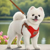 Harnais Gilet Motif Ours avec Laisse pour Chien – Respirant Ajustable