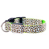 Collier LED Léopard pour Chien et Chat – Sécurité Nocturne Ajustable