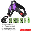 Ensemble Harnais et Laisse Anti-Traction pour Chien – Réfléchissant