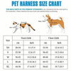 Harnais Gilet Motif Ours avec Laisse pour Chien – Respirant Ajustable