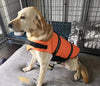 Gilet de Sauvetage pour Chien – Veste Aquatique Sécurisée pour Petits et Grands Chiens