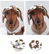 Chapeau de Soleil pour Chien – Casquette Respirante Ajustable avec Trous pour les Oreilles