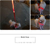 Harnais LED Lumineux pour Chien – Sécurité Nocturne Anti-Traction