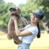 Casquette Baseball pour Chien – Visière Ajustable avec Trous pour les Oreilles