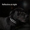 Collier Réfléchissant pour Chien – Nylon Ajustable Rembourré pour Moyen et Grand Chien