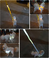 Harnais LED Lumineux pour Chien – Sécurité Nocturne Anti-Traction